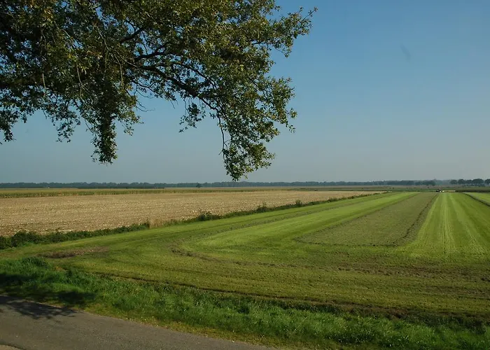 Bed & Breakfast Huize Ouwervelden